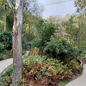 South American walkthrough aviary