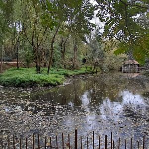 Capybara pond + wooly monkey exhibit