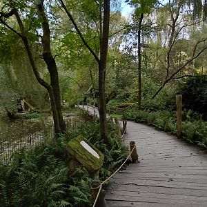 Path leading next to the capybara pond