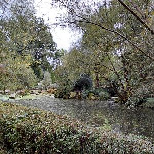 Australian pelican walkthrough exhibit