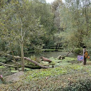 Australian pelican walkthrough exhibit