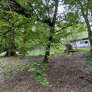 Wallaby + emu walkthrough exhibit