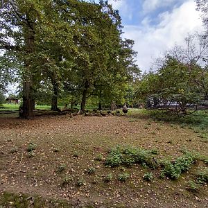 Wallaby + emu walkthrough exhibit