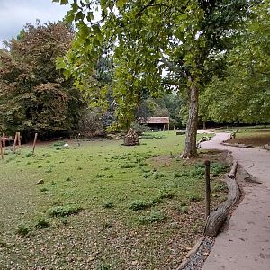 Wallaby + emu walkthrough exhibit