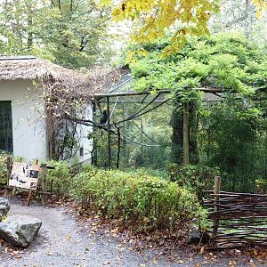 Rhinoceros hornbill exhibit