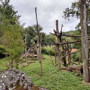 Sloth bear outdoor exhibit