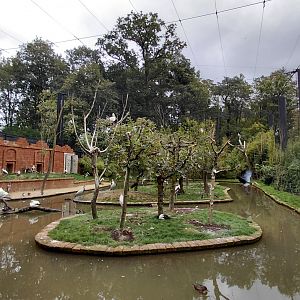 Kerala walk-in aviary