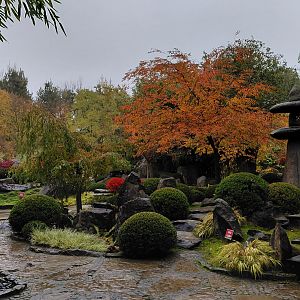 Japanese garden