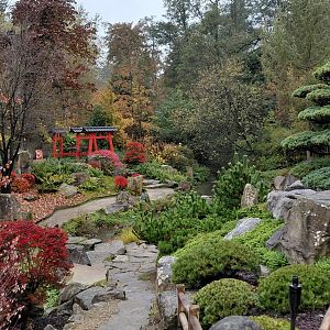 Japanese garden