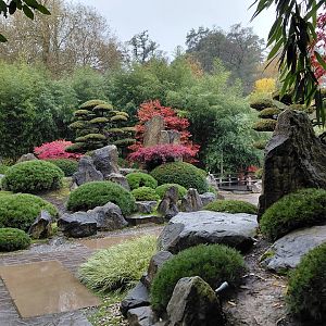 Japanese garden