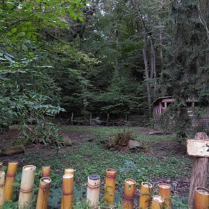 Red-crowned crane exhibit