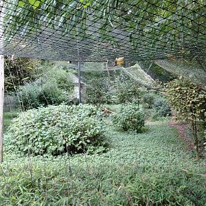 Black-necked crane aviary