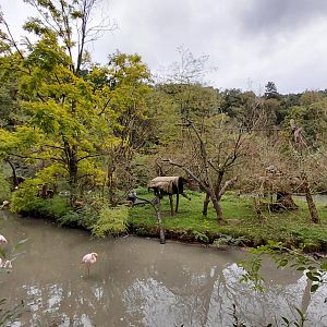 Lemur + flamingo exhibit