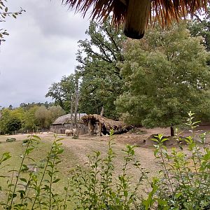 Rhino + lechwe exhibit