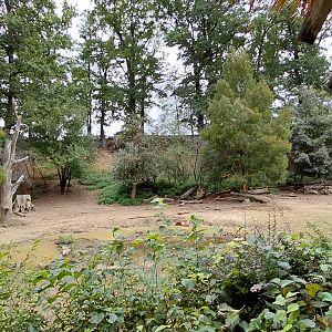 Rhino + lechwe exhibit