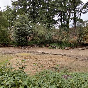 Rhino + lechwe exhibit