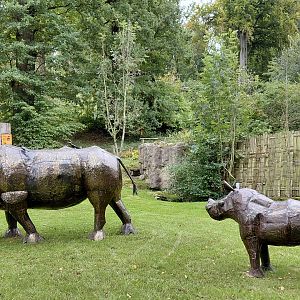 Rhino statues