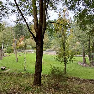 Malayan tapir outdoor exhibit