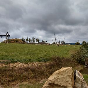 Karibuni - bush elephant exhibit