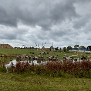 Karibuni - bush elephant exhibit