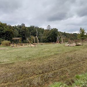 Karibuni - bush elephant exhibit