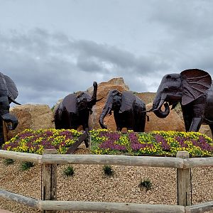 Elephant statues