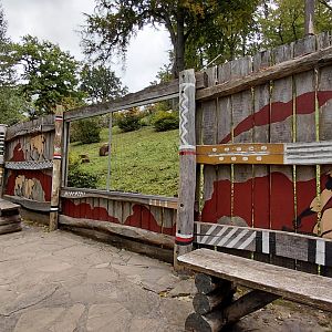 Gelada exhibit - viewing area