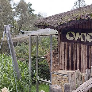 Omo – walk-in aviary