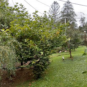 Omo – walk-in aviary