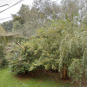 Omo – walk-in aviary