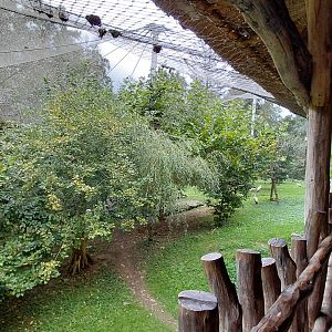 Omo – walk-in aviary