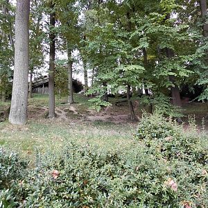 Spotted hyena exhibit