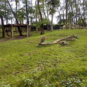 Bongo + grey-crowned crane exhibit