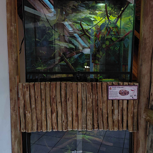 Terrariums inside the giraffe house