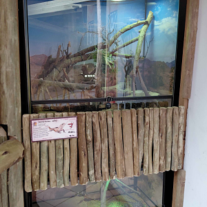 Terrariums inside the giraffe house