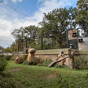 Gora Ark - walk-in aviary