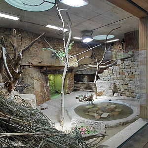 Gora Ark - indoor exhibit