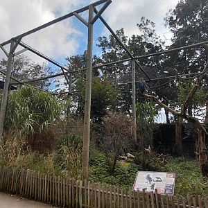 Crowned eagle aviary