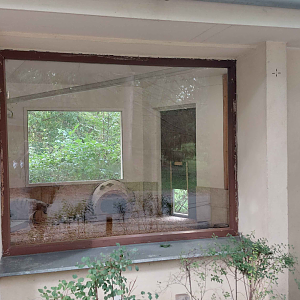 Aardwolf indoor exhibit