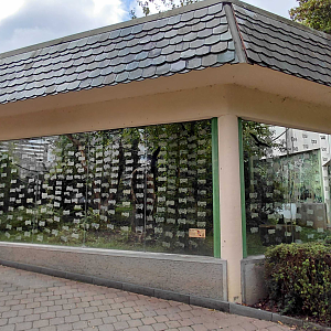 Hornbill + argus exhibit