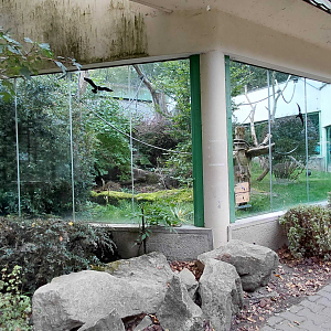 Hornbill+fireback+tortoise outdoor exhibit