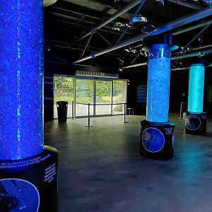 Inside the bay of the rays