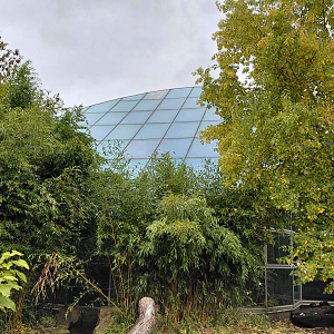 Tropical hall Yucatan