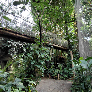 Inside the Yucatan tropical hall