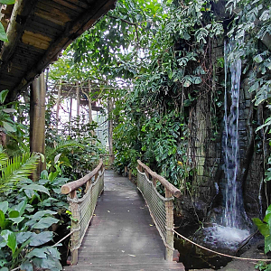 Inside the Yucatan tropical hall