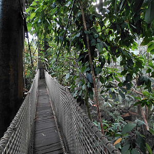 Inside the Yucatan tropical hall