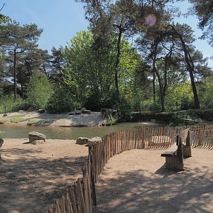 African penguin exhibit, 2025-04-30