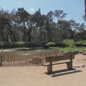 African penguin exhibit, 2025-04-30