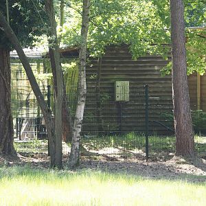 Ring-tailed lemur house and off-show cage, 2025-04-30