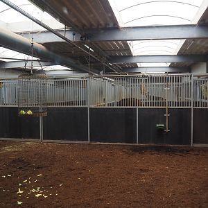 Okapi indoor housing, 2025-04-30